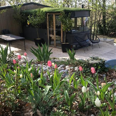 Bus Atypique Au Bord Du Canal Du Midi Et Au Coeur D'Une Foret 2 Chambres Villepinte  Eksteriør bilde