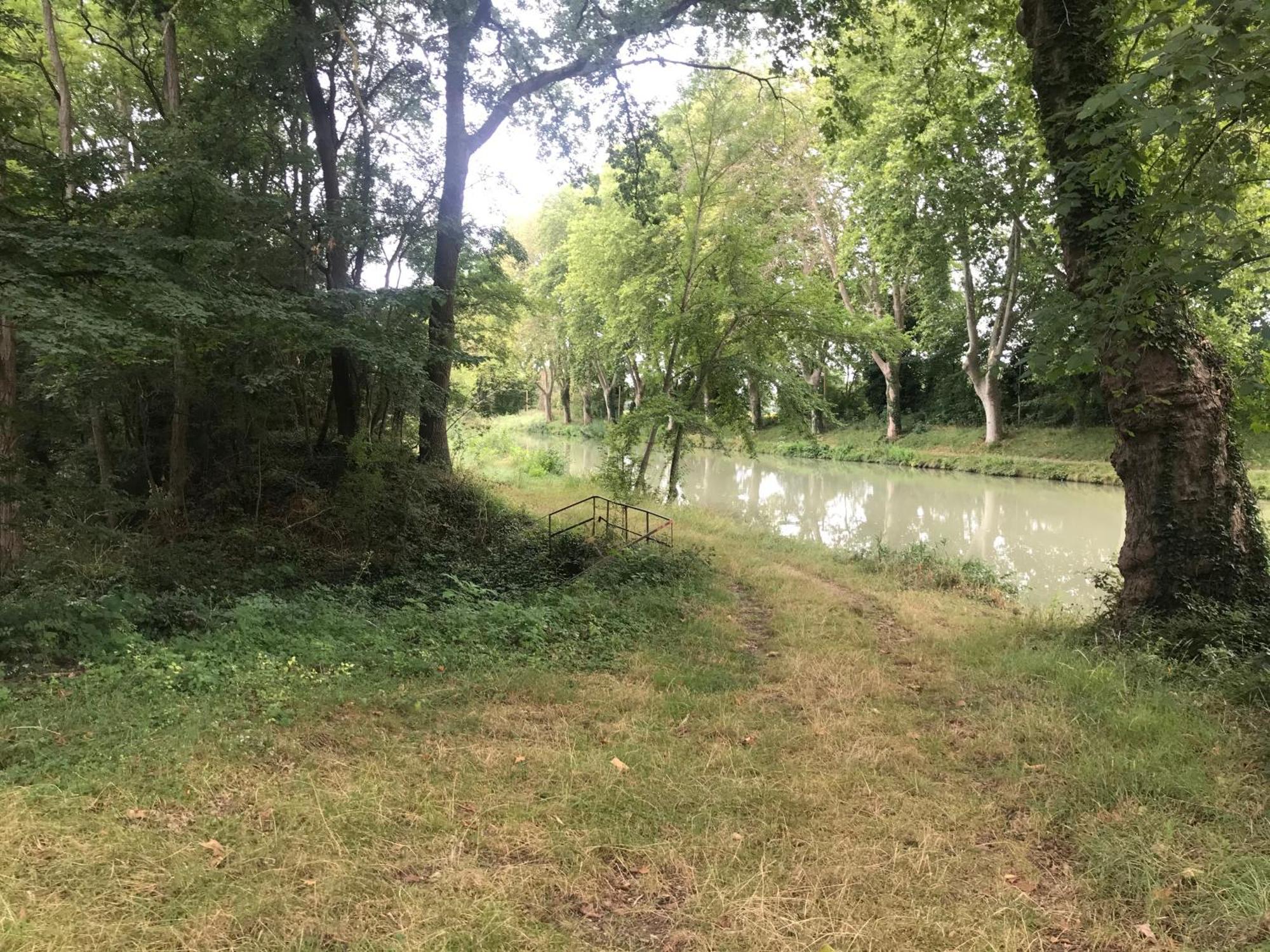 Bus Atypique Au Bord Du Canal Du Midi Et Au Coeur D'Une Foret 2 Chambres Villepinte  Eksteriør bilde