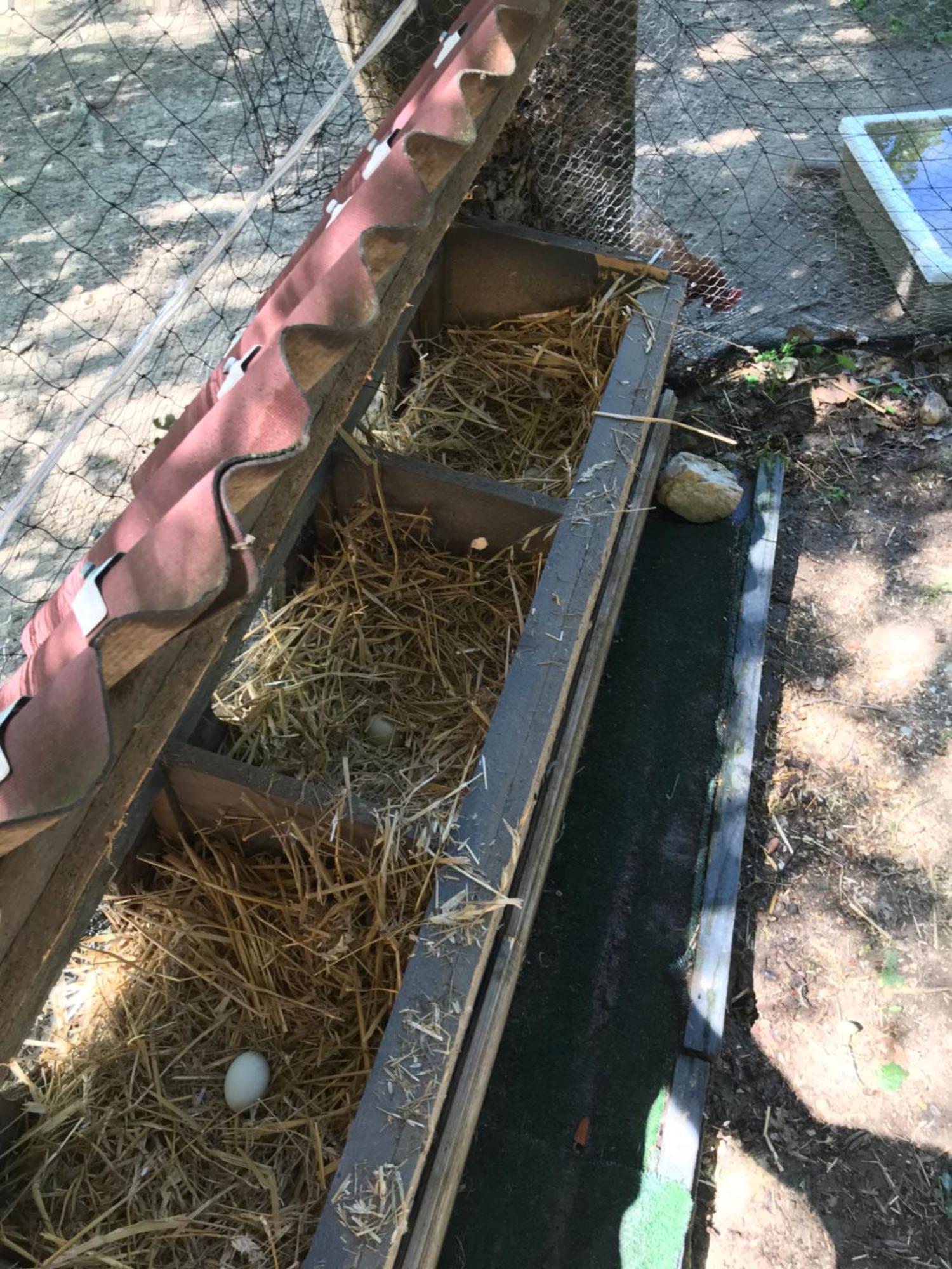 Bus Atypique Au Bord Du Canal Du Midi Et Au Coeur D'Une Foret 2 Chambres Villepinte  Eksteriør bilde