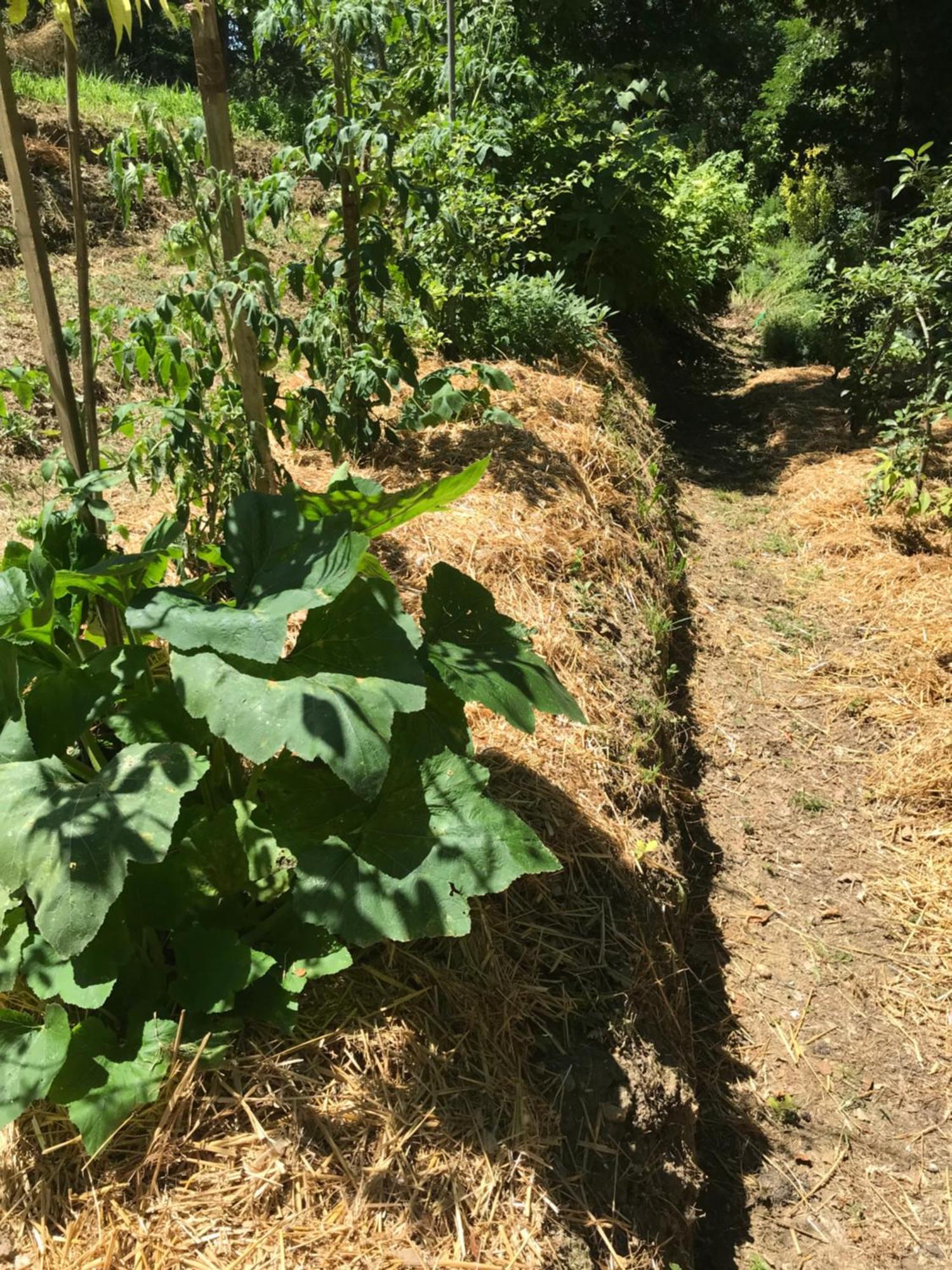 Bus Atypique Au Bord Du Canal Du Midi Et Au Coeur D'Une Foret 2 Chambres Villepinte  Eksteriør bilde