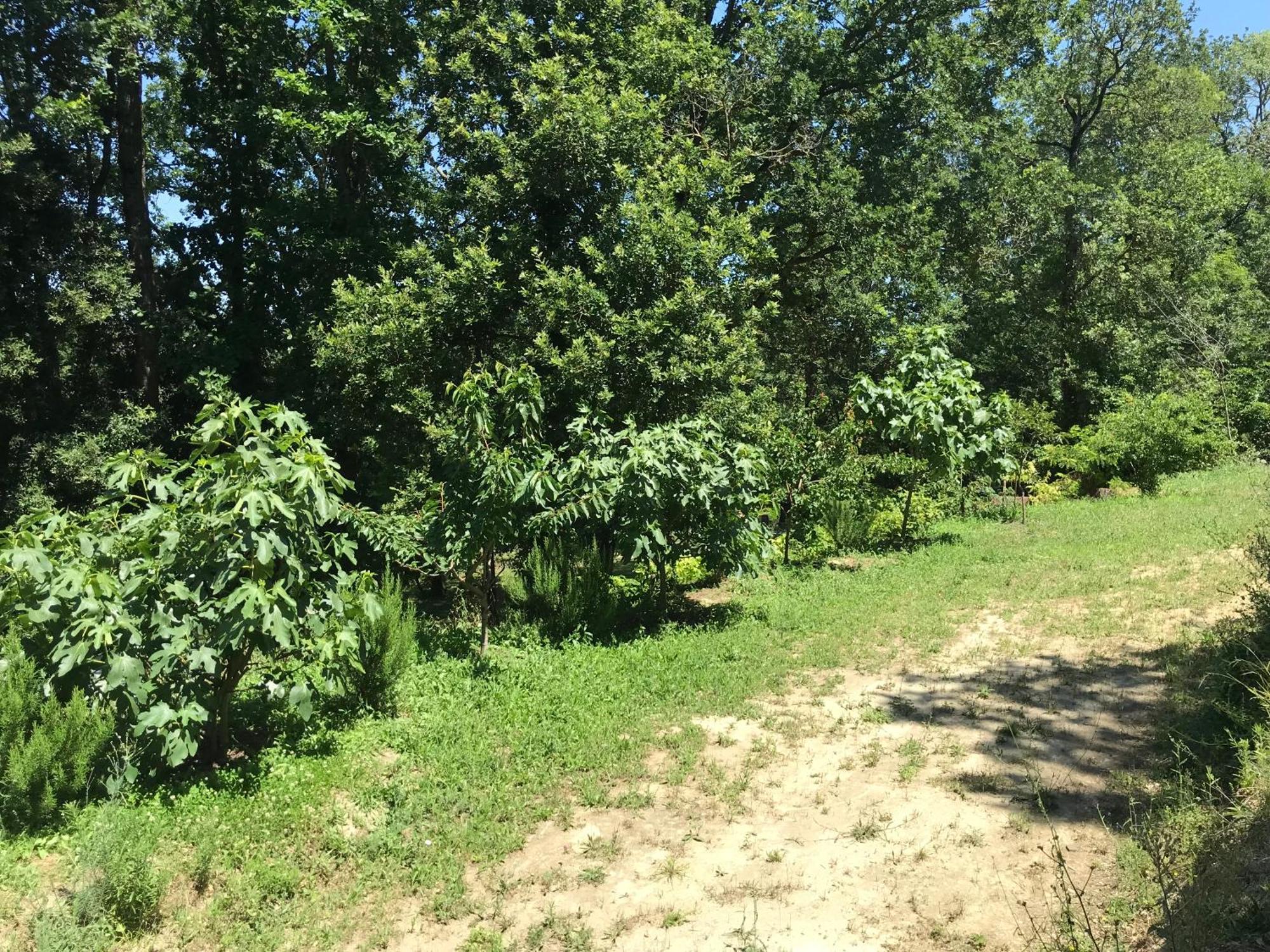 Bus Atypique Au Bord Du Canal Du Midi Et Au Coeur D'Une Foret 2 Chambres Villepinte  Eksteriør bilde