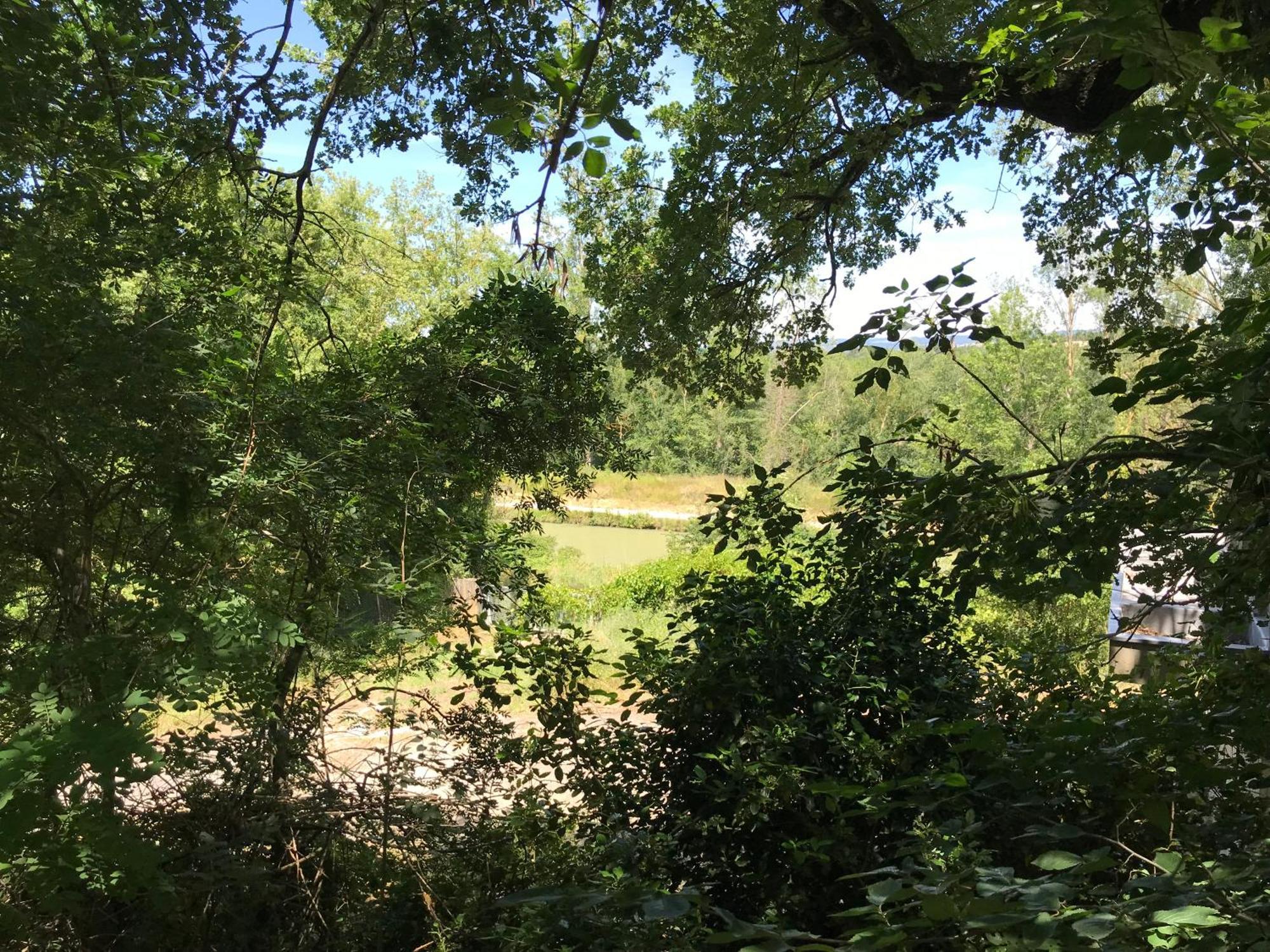 Bus Atypique Au Bord Du Canal Du Midi Et Au Coeur D'Une Foret 2 Chambres Villepinte  Eksteriør bilde
